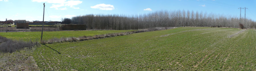 arqueologia-terrazas900x251