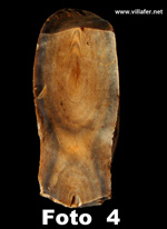 44-silex-pic
