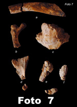 47-fosiles-pic