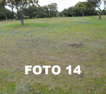 foto-14-colombica-pic