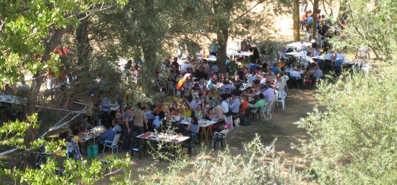 not-paellada6
