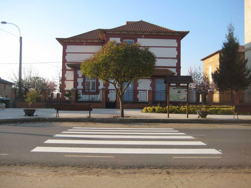 not-paso-cebra