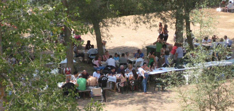 paella09-2