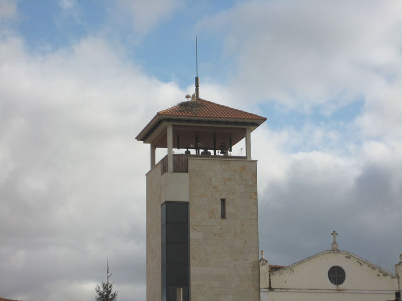 not-ciguena1