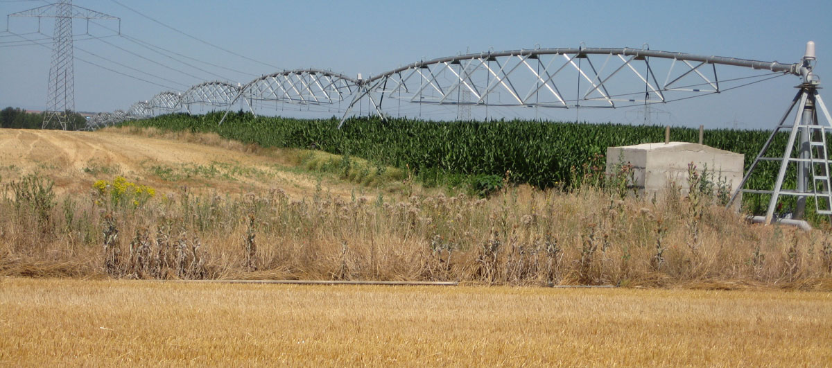 pivot2010-2-1200x531