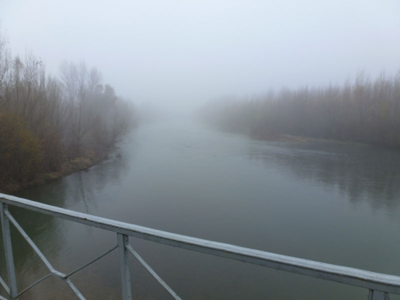 niebla2011-5