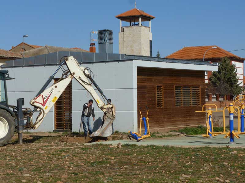 dia-forestal2012-1