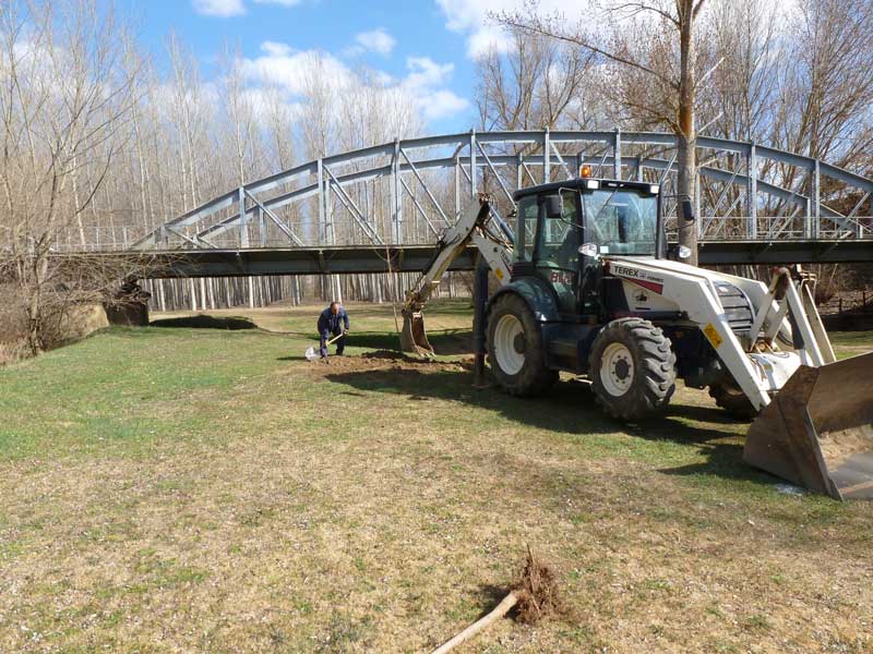 dia-forestal2012-3