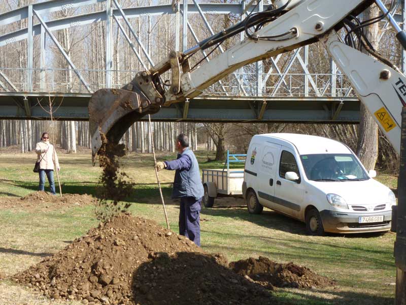 dia-forestal2012-4
