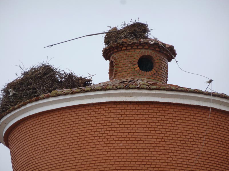 nido-deposito2012-01