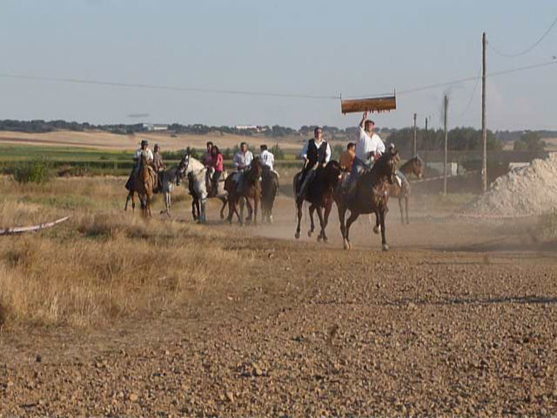 san-roque02