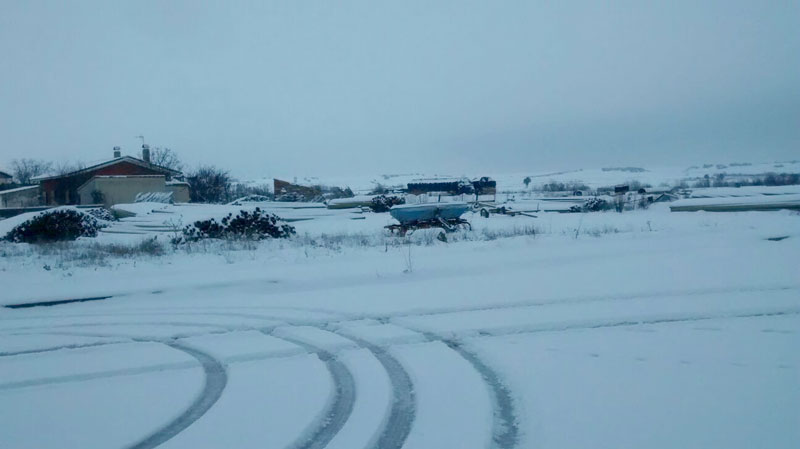 not-nieve18-8