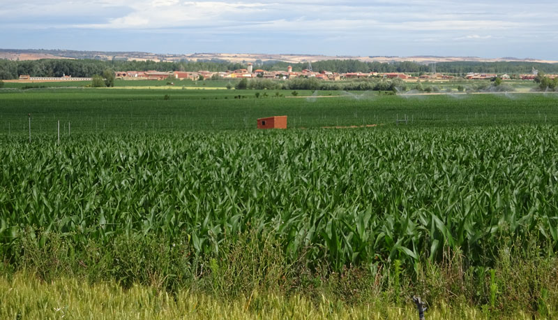 riego19fin03