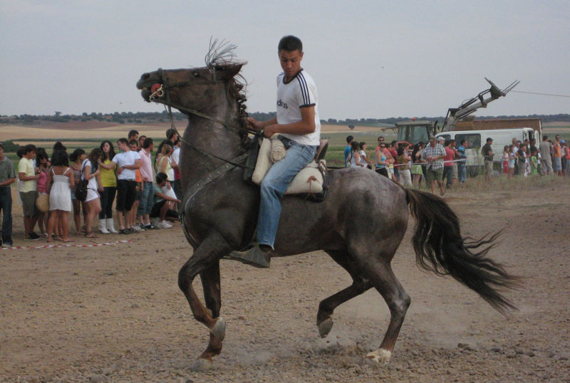 2009cintas