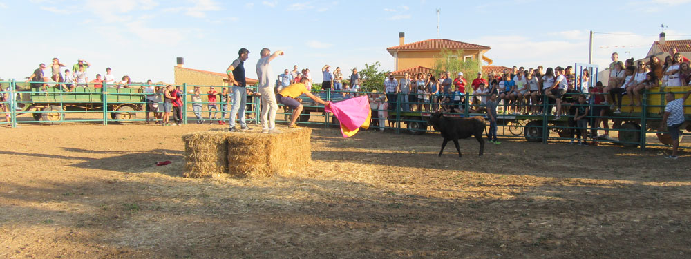 2018vaquillas