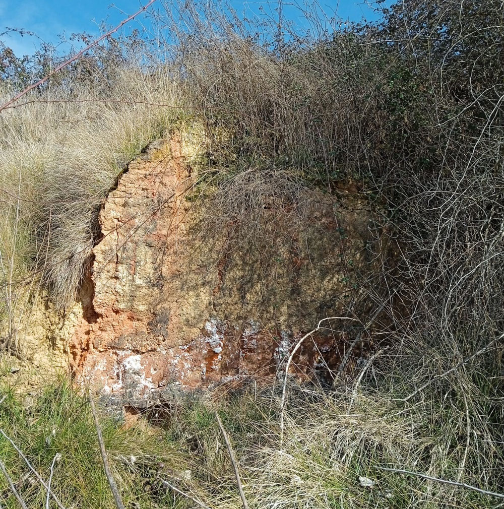 22valdelavinaTejar