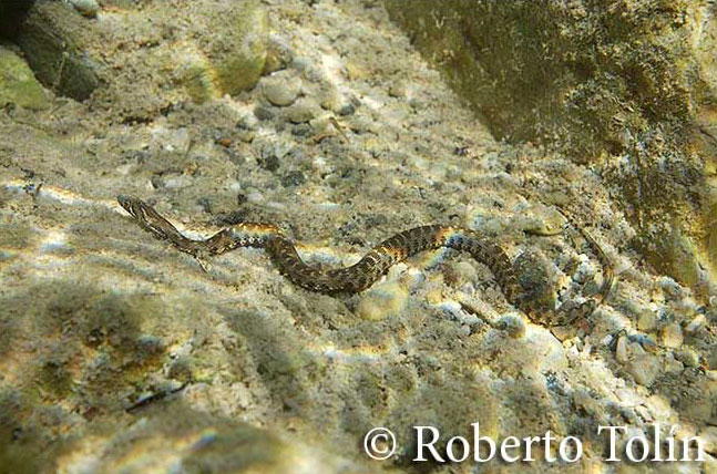rio_rep_culebra-agua647x428